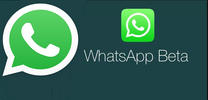 Download Whatsapp For Android Apk